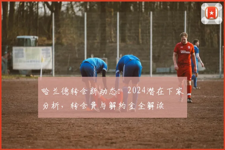 哈兰德转会新动态:2024潜在下家分析,转会费与解约金全解读